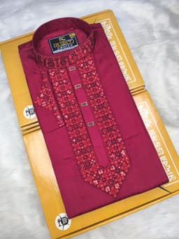 Embroidery Panjabi